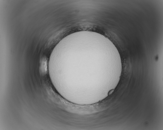 X0000115600042200912011537