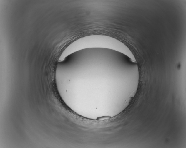 X0000115600043200912011537