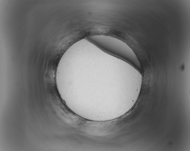 X0000115600045200912011537