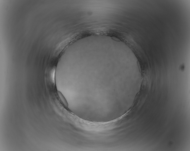 X0000115600047200912011537