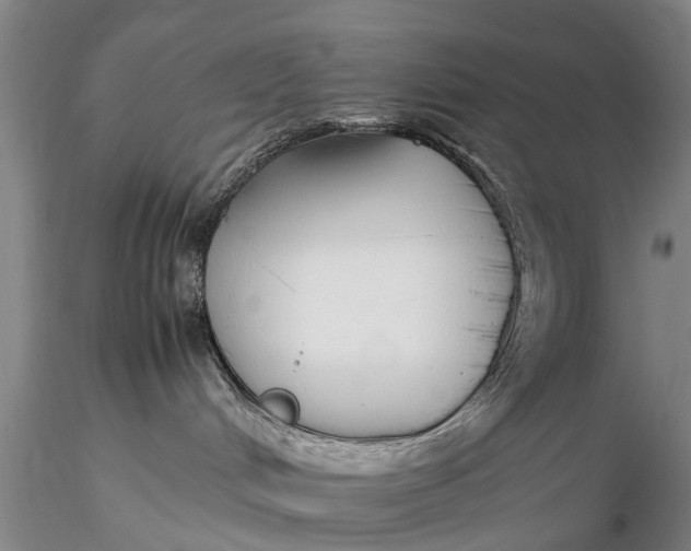 X0000115600048200912011537