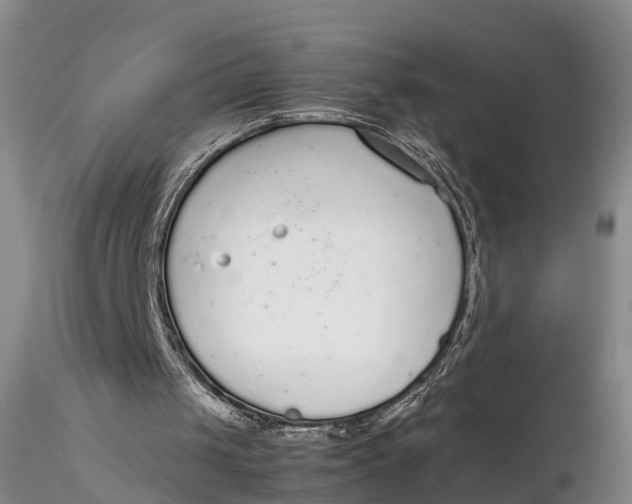 X0000115600049200912011536