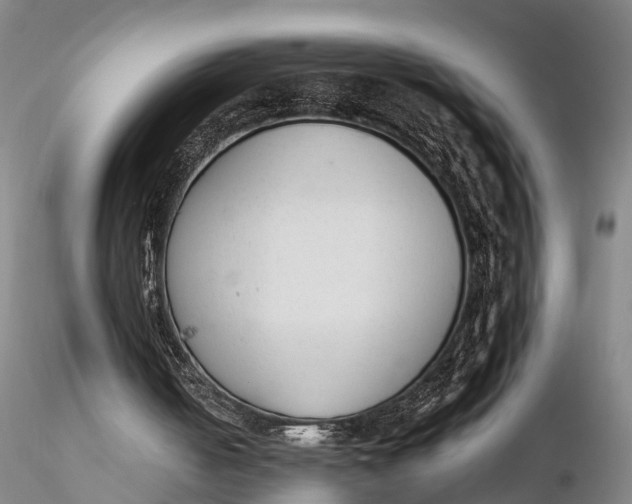 X0000115600050200912011536