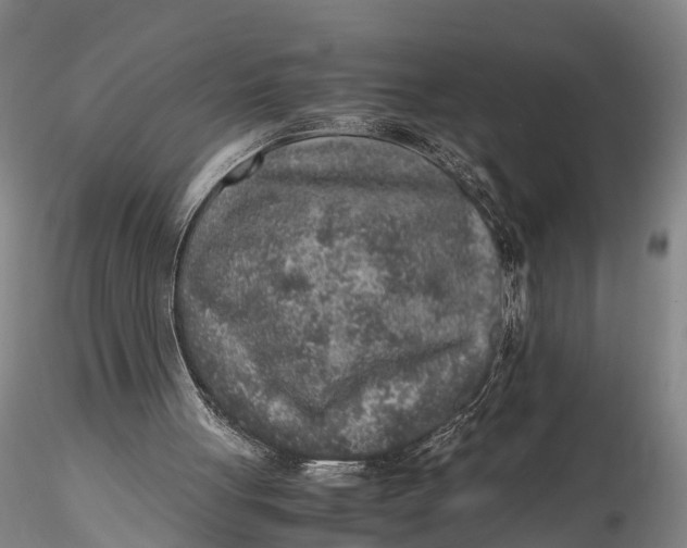 X0000115600051200912011536