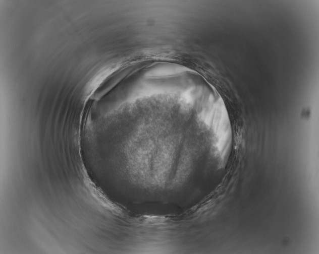 X0000115600052200912011536