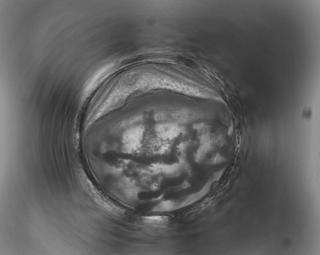 X0000115600053200912011536