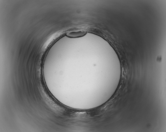 X0000115600054200912011536