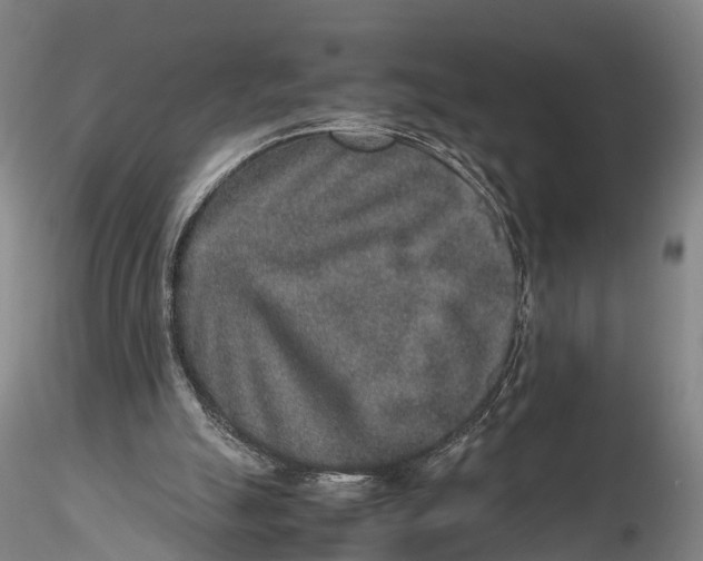 X0000115600055200912011536