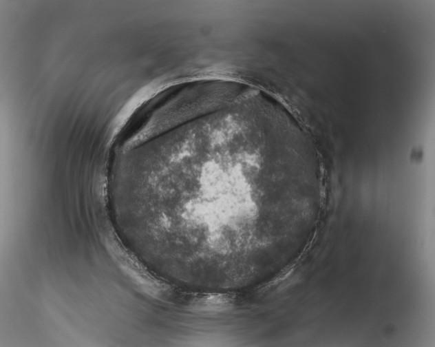 X0000115600056200912011536