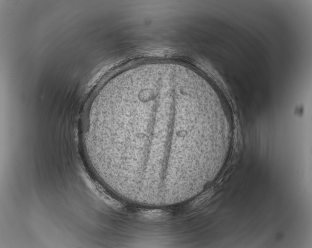 X0000115600058200912011536