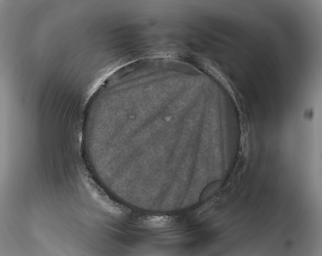 X0000115600059200912011536