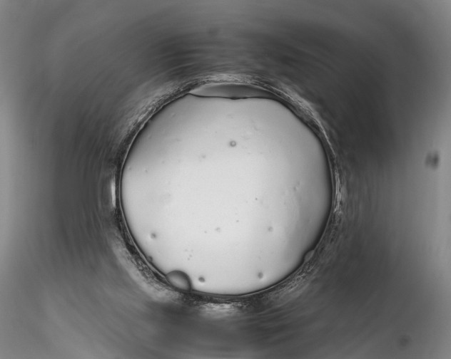 X0000115600061200912011536