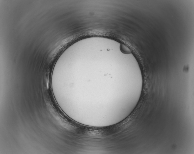 X0000115600062200912011536