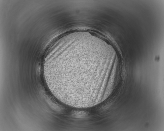 X0000115600063200912011536