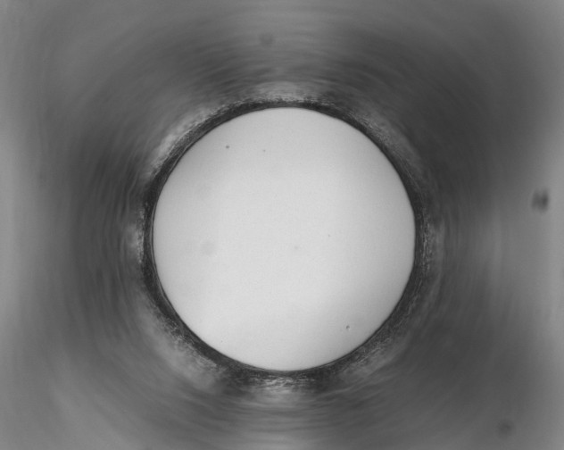 X0000115600064200912011536