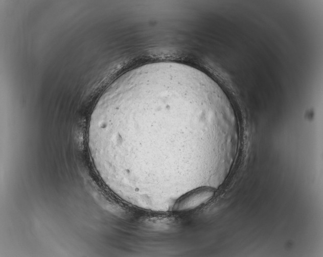 X0000115600065200912011536