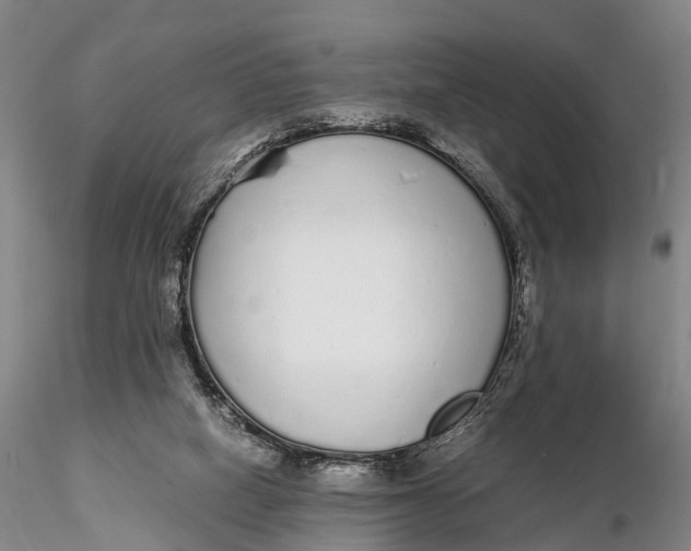 X0000115600066200912011536