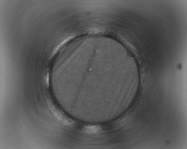 X0000115600067200912011536