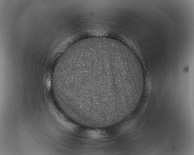 X0000115600069200912011536