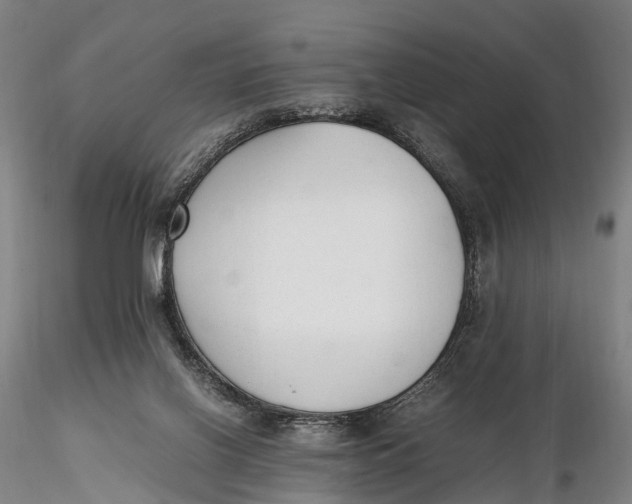 X0000115600070200912011536