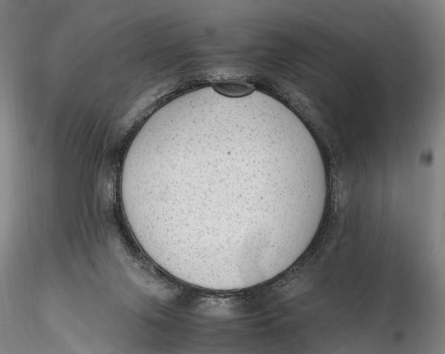 X0000115600071200912011536