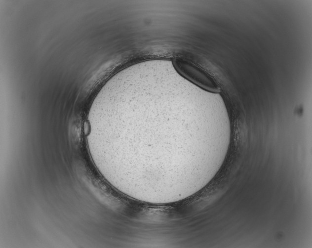 X0000115600072200912011536