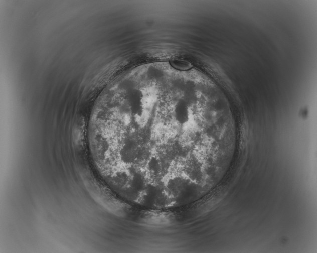 X0000115600073200912011536