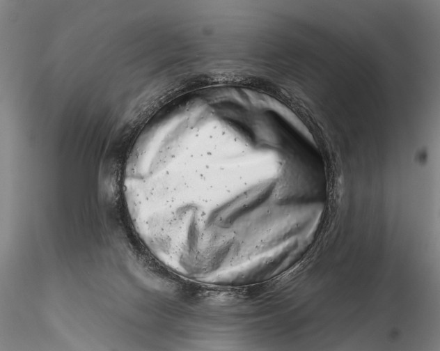 X0000115600074200912011536