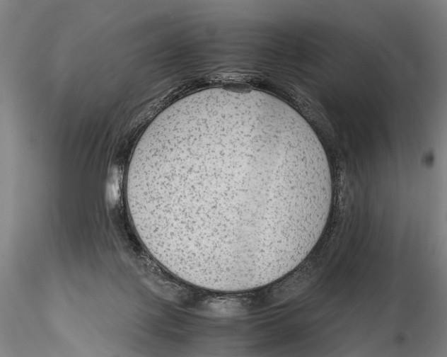 X0000115600075200912011536