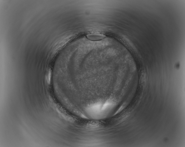 X0000115600076200912011536