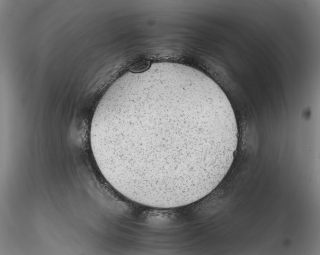 X0000115600077200912011536