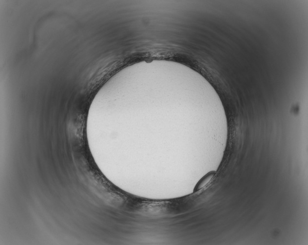 X0000115600078200912011536