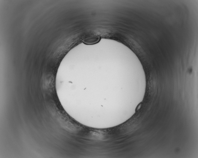 X0000115600079200912011536