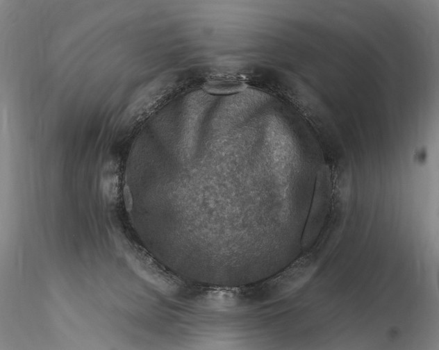 X0000115600080200912011536