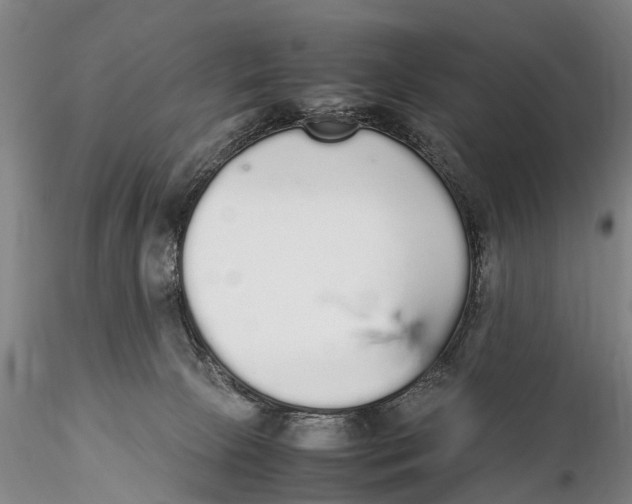 X0000115600081200912011536