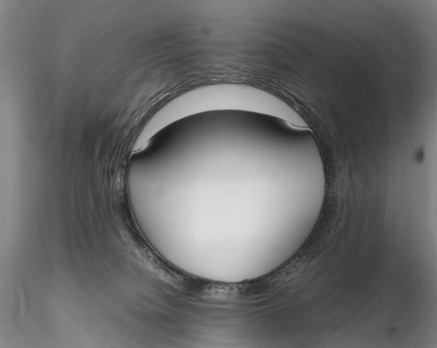 X0000115600084200912011536