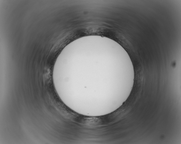 X0000115600087200912011536