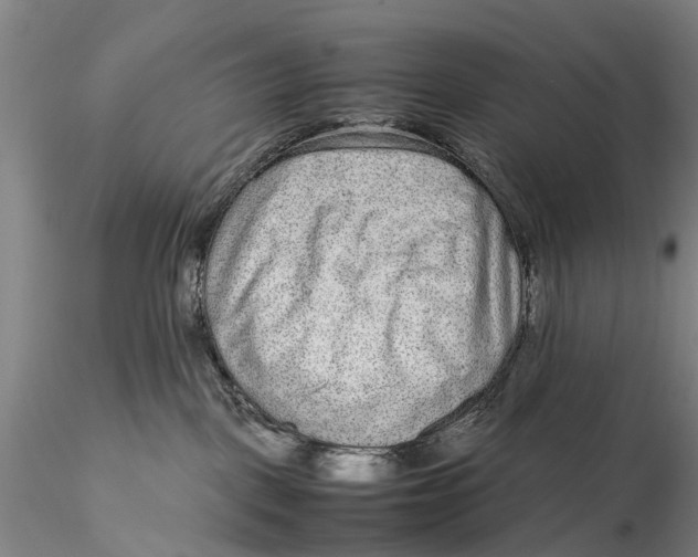 X0000115600093200912011537