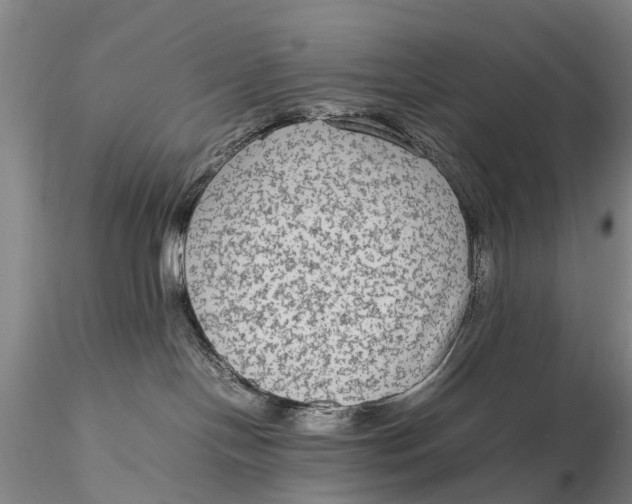 X0000115600094200912011537