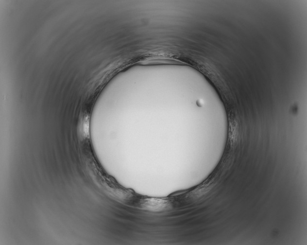 X0000115600095200912011537