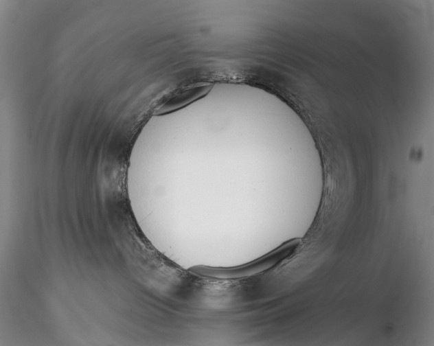 X0000115600096200912011537