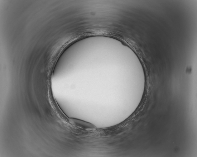 X0000115600097200912011536