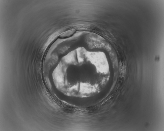 X0000115600099200912011536