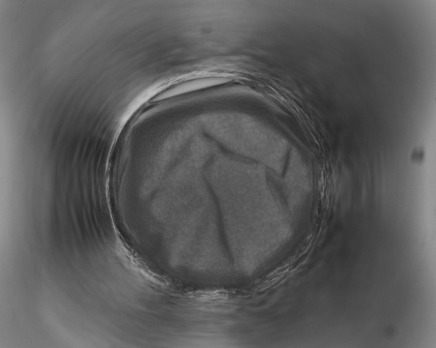 X0000115600100200912011536