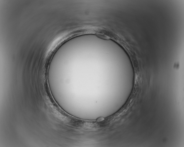 X0000115600101200912011536