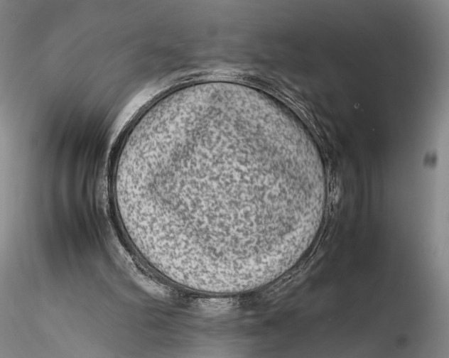 X0000115600102200912011536