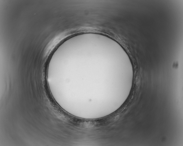 X0000115600103200912011536