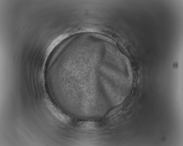 X0000115600104200912011536