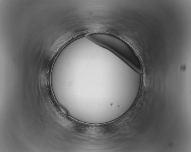 X0000115600105200912011536