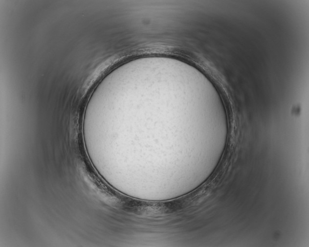 X0000115600107200912011536